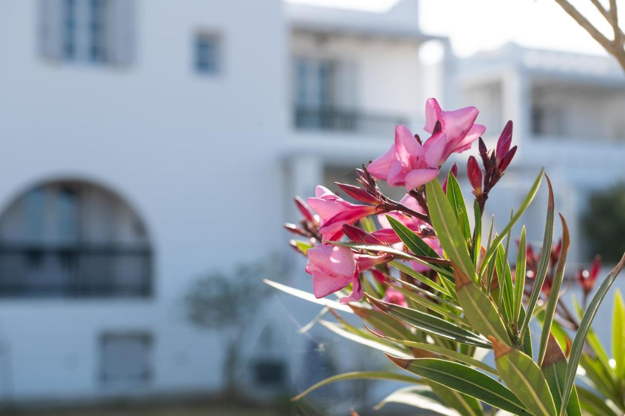 Sea Lilies Suites Pláka Esterno foto